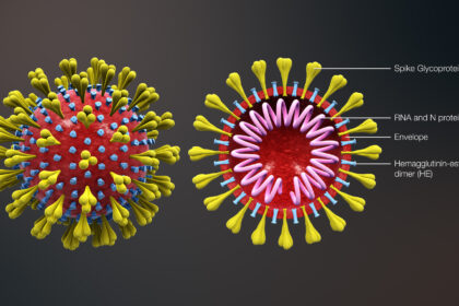 3D_medical_animation_corona_virus